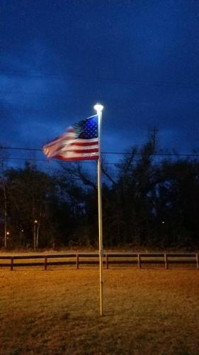 Solar Flagpole Light photo review