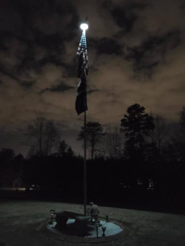 Solar Flagpole Light photo review