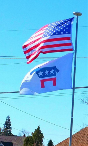 Fly Breeze 3x5 Foot Democratic Party Flag photo review