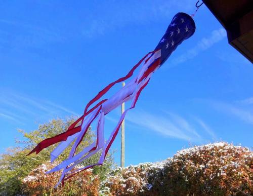 USA Flag Windsock 40 Inch & 60 Inch photo review