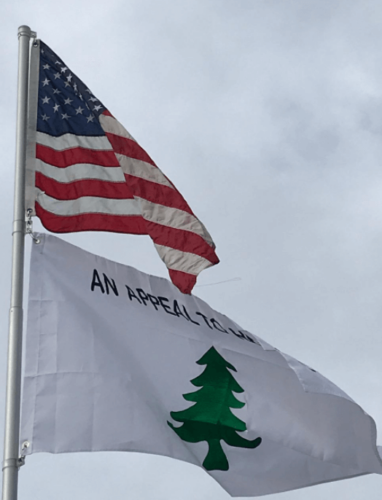Fly Breeze 3x5 Foot An Appeal To Heaven Flag photo review