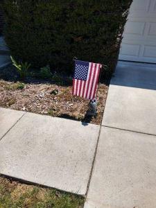 Embroidered USA Garden Flag 18 x 12.5 Inch photo review