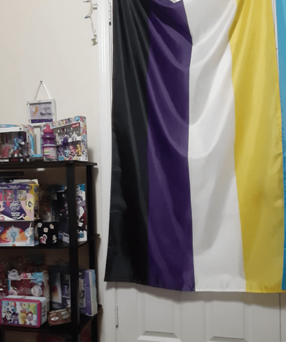 Fly Breeze 3x5 Foot Non-Binary Pride Flag photo review