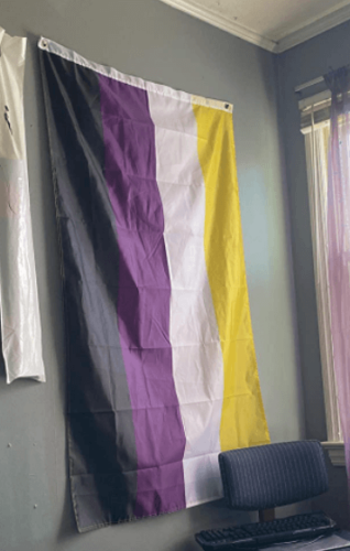 Fly Breeze 3x5 Foot Non-Binary Pride Flag photo review