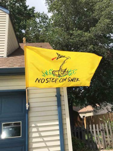 Fly Breeze 3x5 Foot Don't Step on Snek flag photo review