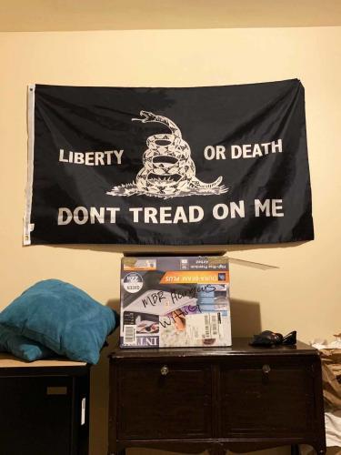 Fly Breeze 3x5 Foot Liberty Or Death Gadsden Flag photo review