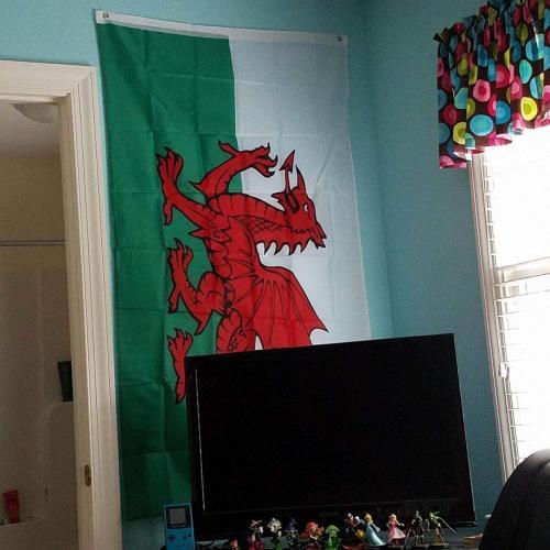 Fly Breeze Wales Flag 3x5 Foot photo review