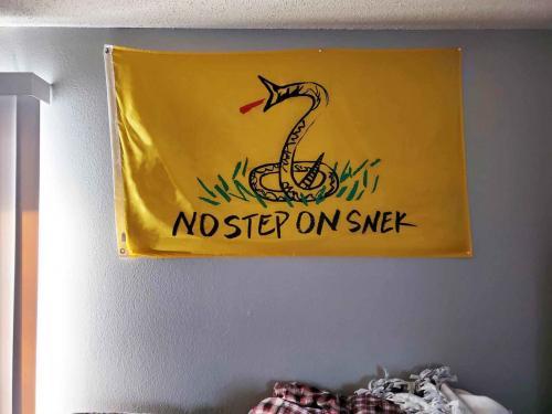 Fly Breeze 3x5 Foot Don't Step on Snek flag photo review