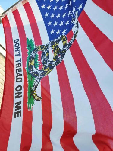Fly Breeze Gadsden Don't Tread On Me American Flag 3x5 Foot photo review