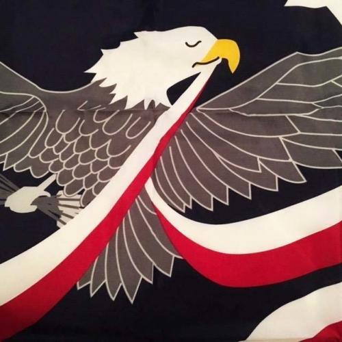 Fly Breeze 3x5 Foot Whiskey Rebellion Flag photo review