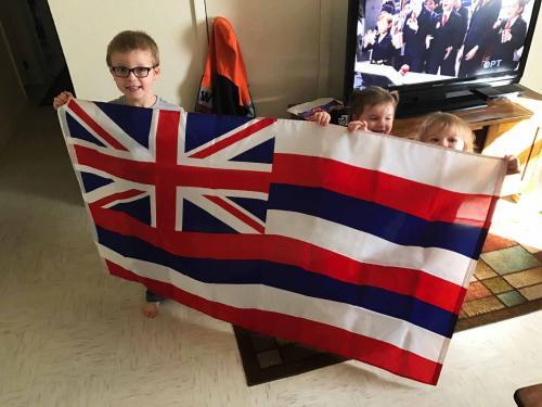 Fly Breeze 3x5 Foot Hawaii State Flag photo review