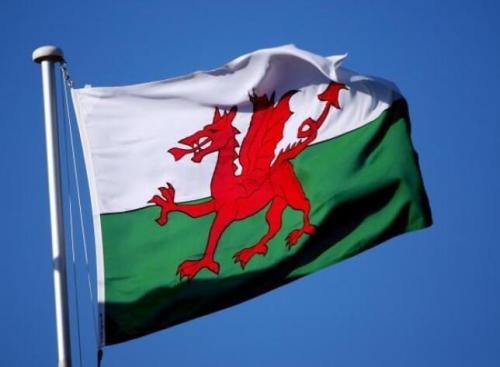 Fly Breeze 3x5 Foot Wales Flag photo review