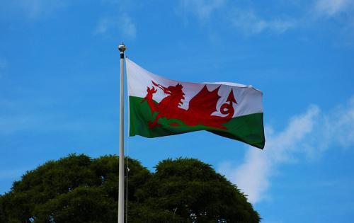 Fly Breeze 3x5 Foot Wales Flag photo review