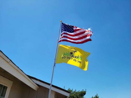 Fly Breeze No step on snek flag 3x5 Foot photo review