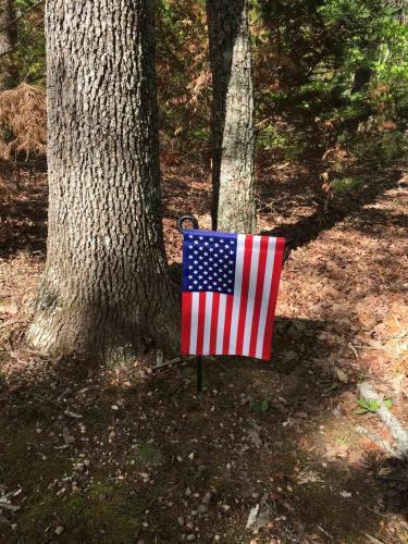 Embroidered USA Garden Flag 18 x 12.5 Inch photo review