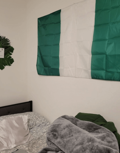 Fly Breeze 3x5 Foot Nigeria Flag photo review