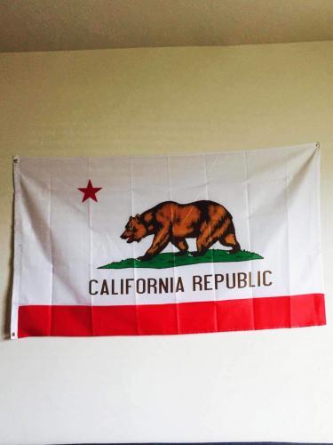 Fly Breeze 3x5 Foot California State Flag photo review