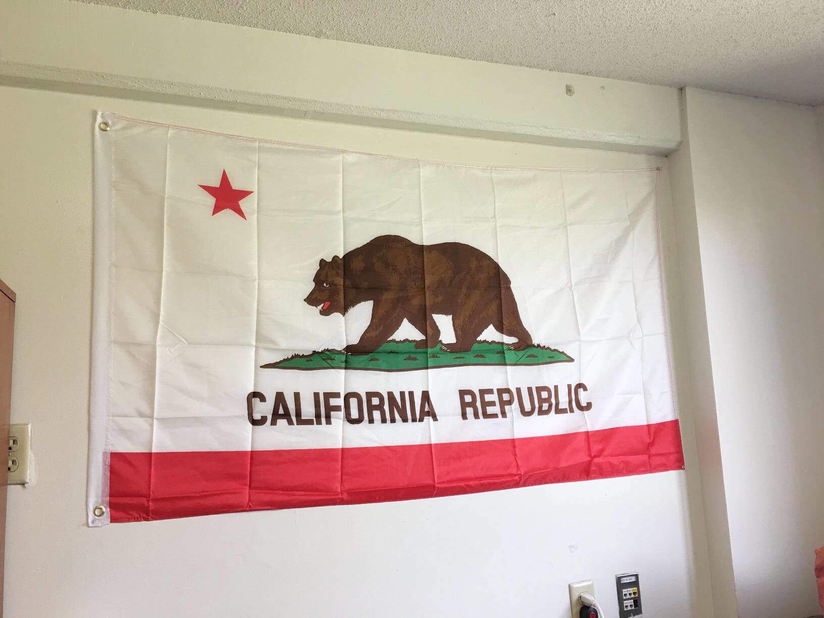 California State Flag 3 x 5 Foot Republic Bear Flag for Sale