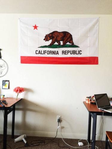 Fly Breeze 3x5 Foot California State Flag photo review