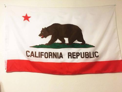 Fly Breeze California State Flag photo review