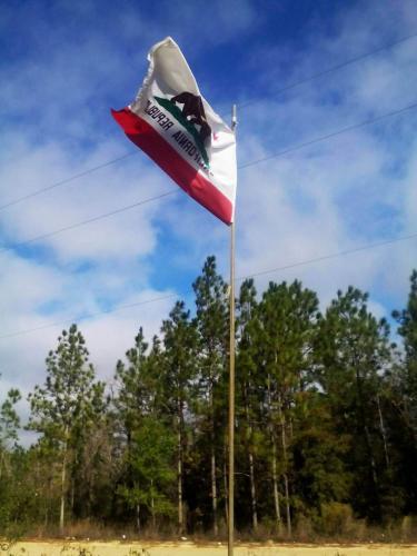 Fly Breeze 3x5 Foot California State Flag photo review