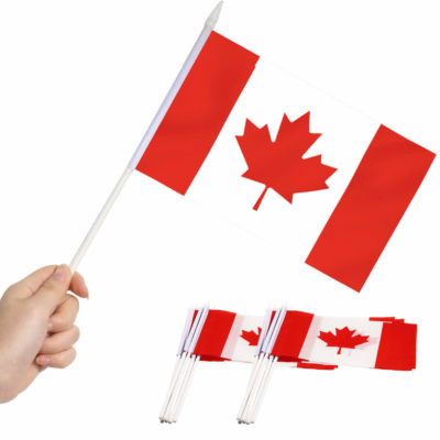 Canada Stick Flags 5x8 Inch (Pack of 12)