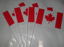 Canada Stick Flags 5x8 Inch (Pack of 12) photo review