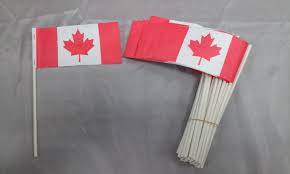 Canada Stick Flags 5x8 Inch (Pack of 12) photo review