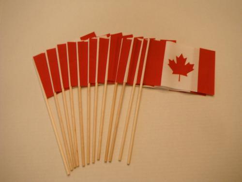 Canada Stick Flags 5x8 Inch (Pack of 12) photo review