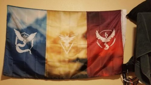 Custom Standard Flags photo review