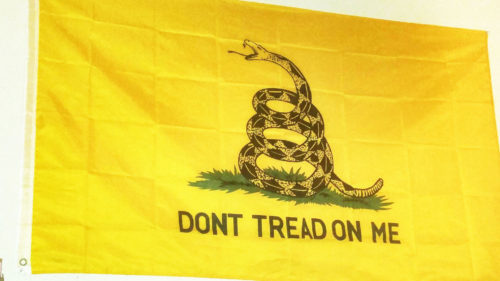Fly Breeze 3x5 Foot Don’t Tread On Me Gadsden Flag photo review