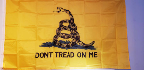 Fly Breeze 3x5 Foot Don’t Tread On Me Gadsden Flag photo review