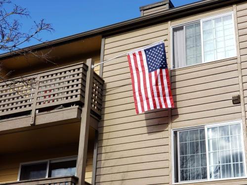 Everstrong Nylon USA Flag photo review