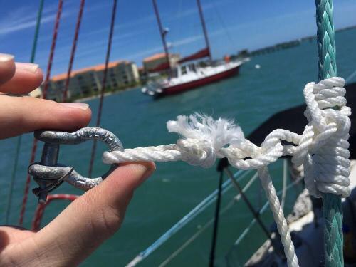 80 Ft Flag Halyard Rope (1/4 In) photo review