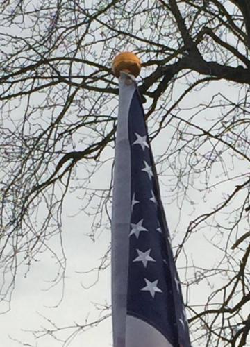 3" Flagpole Ball Topper Ornament (Gold) photo review