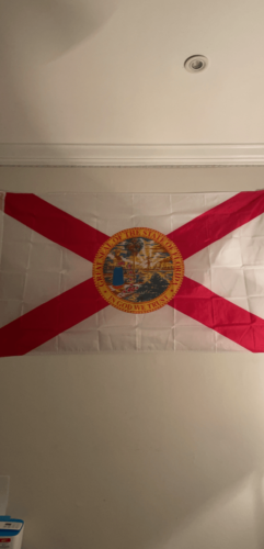 Fly Breeze 3x5 Foot Florida State Flag photo review