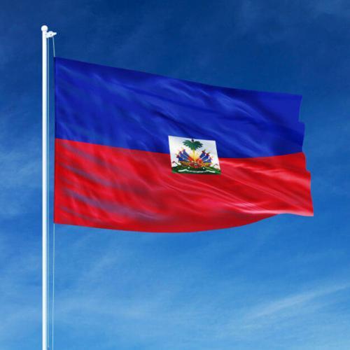 Fly Breeze Haiti Flag 3x5 Foot photo review