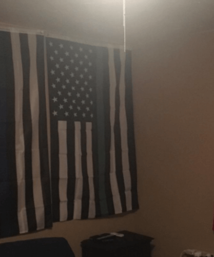 Fly Breeze 3x5 Foot Thin Green Line USA Flag photo review