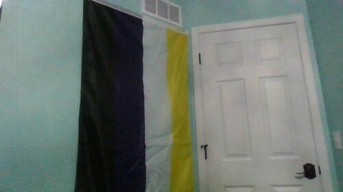 Fly Breeze 3x5 Foot Non-Binary Pride Flag photo review