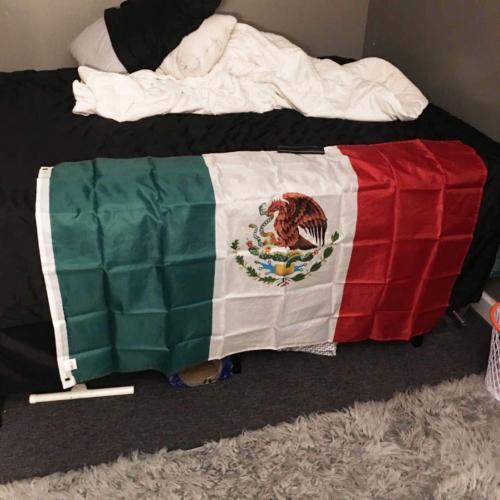 Fly Breeze 3x5 Foot Mexico Flag photo review