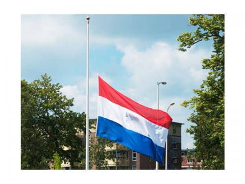 Fly Breeze 3x5 Foot Netherlands Flag photo review