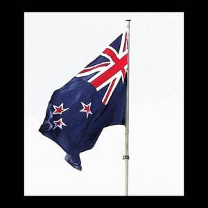 Fly Breeze 3x5 Foot New Zealand Flag photo review