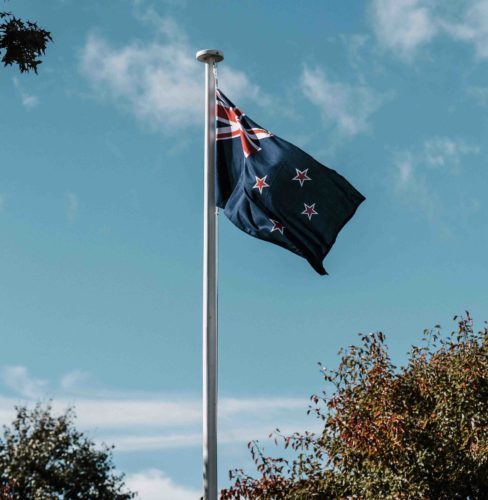 Fly Breeze New Zealand Flag 3x5 Foot photo review