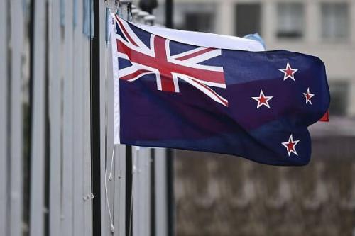 Fly Breeze 3x5 Foot New Zealand Flag photo review