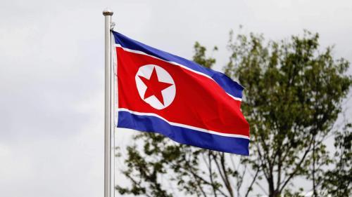 Fly Breeze North Korea Flag 3x5 Foot photo review