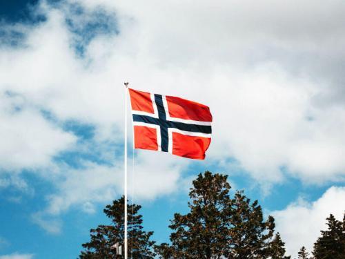 3x5 foot 3x5 Foot Norway Flag photo review