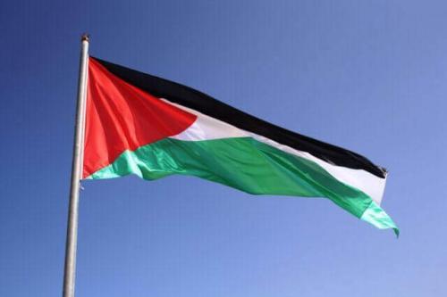 Fly Breeze 3x5 Foot Palestine Flag photo review