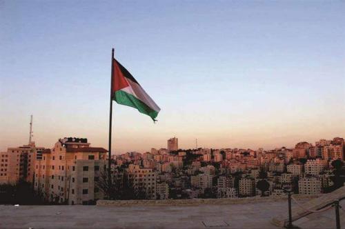 Fly Breeze Palestine Flag 3x5 Foot photo review