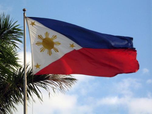 Fly Breeze 3x5 Foot Philippines Flag photo review