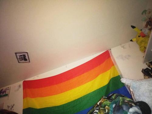 Fly Breeze 3x5 Foot Rainbow Gay Pride Flag photo review